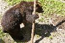 spgm-1.4.7/gal/Sfruz estate 2014/_thb_sfruz2014estate05.jpg